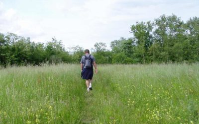 Walking For Health and Positive Mental Health