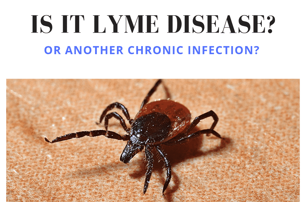 Lyme Disease And Other Chronic Infections