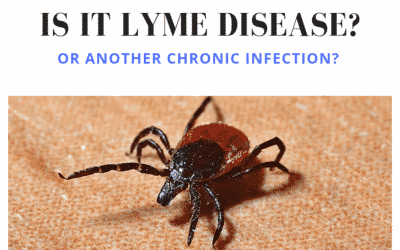 Lyme Disease and Other Chronic Infections