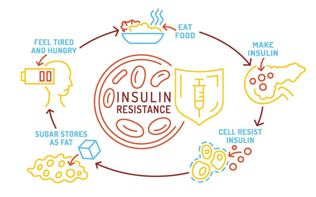 Insulin Resistance Explained: Early Signs, Functional Testing, and Natural Solutions