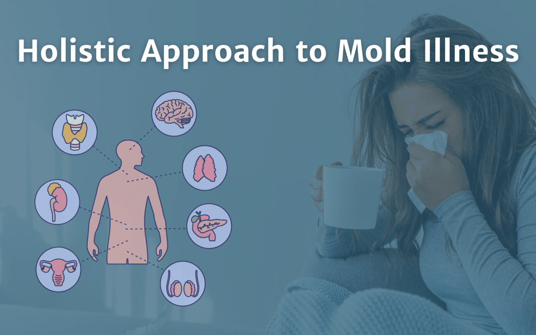 A Holistic Approach to Mold Illness: How to Recover and Support Your Health Naturally